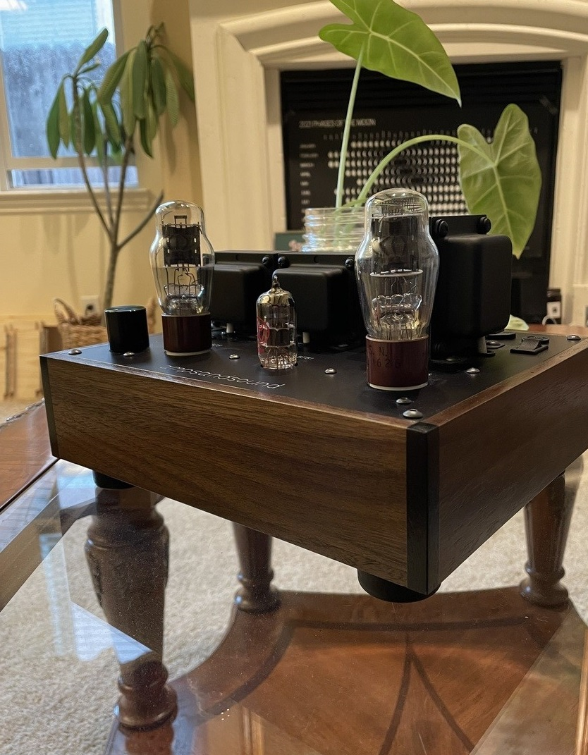 A photo of the ampsandsound Kenzie OG Rev 2 on a wooden table with glass holding the Kenzie with plants in the background